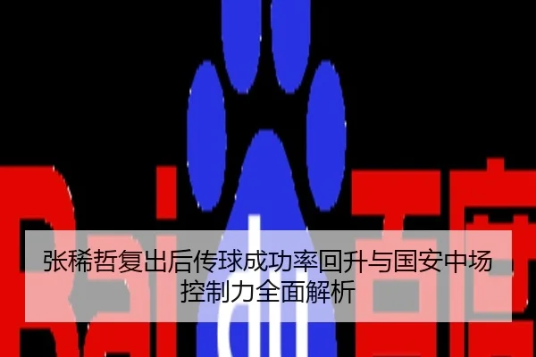 张稀哲复出后传球成功率回升与国安中场控制力全面解析