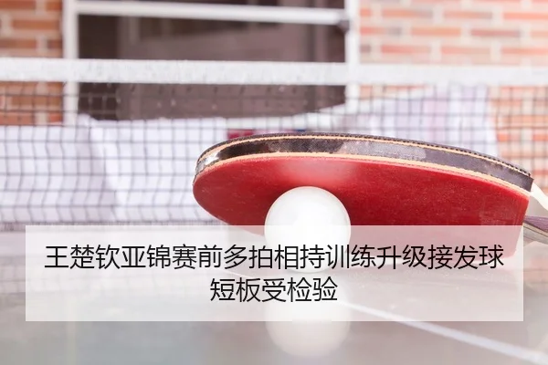 王楚钦亚锦赛前多拍相持训练升级接发球短板受检验